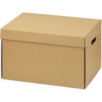 マルアイ タフボックス Lサイズ きなり CA-30LN 1枚（直送品）