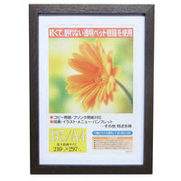 イワタ 木製 額縁 ガーベラ B5/A4対応 ダークブラウン GM-154DBR-A4 1枚（直送品）