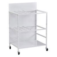 タマリビング カジュアリー フィットネスラック カジュアリー 幅510×奥行360×高さ750mm ホワイト 1台（直送品）