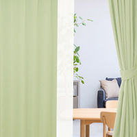 サンローズ 4枚組 カーテン レースカーテンセット レイトン 1000×1950mm グリーン 1セット(4枚入)（直送品）