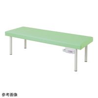 アズワン カラフル診察台(ホットマット付き)700×1800×600mm ライムグリーン TE-H70W-LG 1個 9-1583-03（直送品）