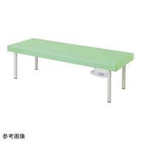 アズワン カラフル診察台(ホットマット付き)650×1800×600mm ライムグリーン TE-H65W-LG 1個 9-1582-03（直送品）