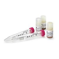 メルク PureProteome Albumin Magnetic Beads; 10mL LSKMAGL10 1個 61-0209-30（直送品）