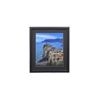 ハクバ写真産業 木製額 FWー04 ブラック 4切 ハクバ ブラック4切 FWー4ーBK4 FW4BK4 1個 69-7453-76（直送品）