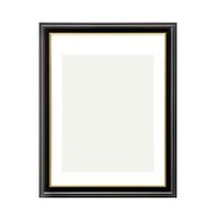 ハクバ写真産業 ハクバ 肖像額縁 入山 太子判サイズ 無反射PET FWIY-TBP 1個 68-5154-60（直送品）