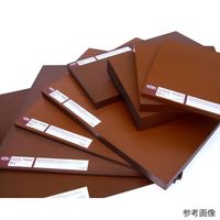 アズワン ベスペルSPー1 茶 T5 W254×L170 69-4843-02 1個（直送品）