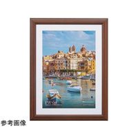 ハクバ写真産業 モクセイガク ブラウン A4 FW-4-BRA4 1個 68-5236-25（直送品）