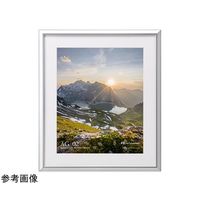 ハクバ写真産業 アルミガク シルバー 4ツ FAG2-SV4 1個 68-5235-82（直送品）