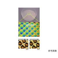 EZSPHERE(R) SP(スフェロイド形成培養用容器)ディッシュ60mm 1箱(10枚入) 4010-900SP 1箱(10枚)（直送品）