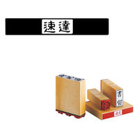 サンビー 柄付ゴム印 T印 =速達= ES-T-19 1セット(1個×3)（直送品）