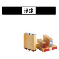 サンビー 柄付ゴム印 X印 =速達= ES-X-1 1セット(1個×2)（直送品）