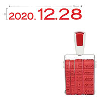 サンビー シルバー回転印 定期用日付用 ニ 西暦4桁 SR-TKD3 1個（直送品）