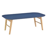 タマリビング スモーキー 折り畳みテーブル 幅900×奥行500×高さ330mm 瑠璃 1台（直送品）