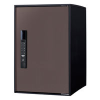 パナソニック(株) 電材 イーコンボライト ミドル ブラウン CTN6020RMA 1式（直送品）