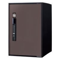 パナソニック(株) 電材 イーコンボライト ミドル Smari CTN6020RMASM 1式（直送品）