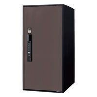 パナソニック(株) 電材 イーコンボライト ラージ Smari CTN6050RMASM 1式（直送品）