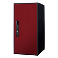 パナソニック(株) 電材 イーコンボライト ラージ ボルドー CTN6050RXR 1式（直送品）