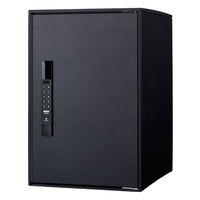 パナソニック(株) 電材 イーコンボライト ミドル マットブラック CTN6220RB 1式（直送品）