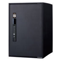 パナソニック(株) 電材 イーコンボライト ミドル Smari CTN6220RBSM 1式（直送品）