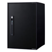 パナソニック(株) 電材 コンボライト ミドル 鋳鉄ブラック CTNK6020RTB 1式（直送品）