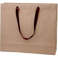 包む ガットBAG W450 クラフト TG014 1セット(2個)（直送品）