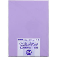 ミューズ 色上パック 色上質紙 厚口 B4 100枚入 りんどう 301815 1パック(100枚入)（直送品）