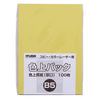 ミューズ 色上パック 色上質紙 厚口 B5 100枚入 濃クリーム 300689 1セット(1パック(100枚入)×2)（直送品）