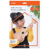 学研ステイフル かぞくでつくるダンボール 工作キット 音あそびギター N15005 1個（直送品）