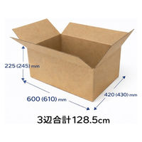 ノーブランド 無地ダンボール SA Cライナー No.A3 10枚入 4525241100372 1セット(10枚入)（直送品）