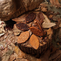 LIFE IS PATISSIER　リーフパイ詰合せ　ギフトカード　スタンダード封筒／熨斗（御中元）（直送品）