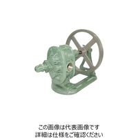 亀嶋鐵工所 NK ギヤーポンプ (安全弁付・単独ベース型) ME-2V 11/4 1台 850-9731（直送品）