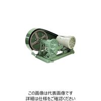 亀嶋鐵工所 NK ギヤーポンプ(安全弁付・電動機連結型) ME-2S 3/4 1台 850-9728（直送品）