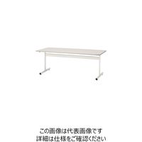 藤沢工業 TOKIO ミーティングテーブル TTーTW 1500×750 ニューグレー TT-TW1575-NG 1台 226-5818（直送品）