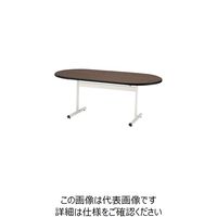 藤沢工業 TOKIO ミーティングテーブル TTーTW 楕円型 1500×750 ローズ TT-TW1575R-RO 1台 226-5869（直送品）