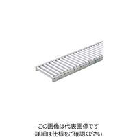 寺内製作所 TS アルミ製ローラコンベヤφ38.1ーW350XP100X3000L SA38-351030 1台 134-0088（直送品）