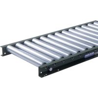 寺内製作所 TS スチールローラコンベヤφ48.6ーW100XP75X2000L S48-100720 1本 133-2708（直送品）