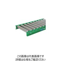 寺内製作所 TS スチールローラコンベヤφ60.5ーW450XP150X1500L M6023-451515 1台 132-7868（直送品）