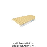 寺内製作所 TS 樹脂製ローラコンベヤφ42ーW200XP150X3000L P42-201530 1台 133-5858（直送品）