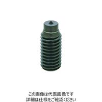 イマオコーポレーション イマオ ポイントチップ スクリュー PCS10X27 1個 212-6934（直送品）