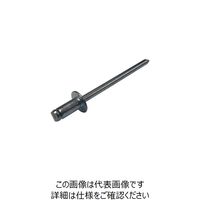 コノエ MIC ブラインドリベット オールスチール BSー55 (35本入) M116-0055 1パック(35本) 213-1415（直送品）