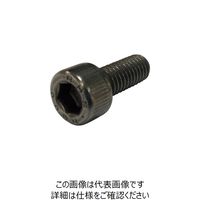 コノエ レアメタルスクリュー 六角穴付きボルト ALLOY600 3x10 CS-ALLOY600-310 1本 249-2072（直送品）