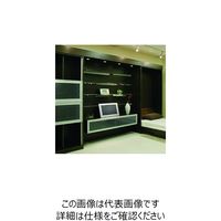 XKclH (130030379)VT[F2500/tIVXe VT-F2500 1 224-0898iij