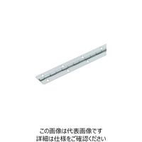 スガツネ工業 SUGATSUNE (170045409)LSN15ー38ー600C/ステンレス鋼製長蝶番 LSN15-38-600C 1個（直送品）
