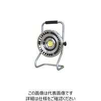 キタムラ産業 キタムラ ハイパワーLED投光器 KTA-04 1台 805-0962（直送品）