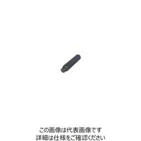 セントラルコンベヤー セントラル チェーン駆動ローラ単体 ダブルホイール φ76×1000W SCW76510-100 813-6585（直送品）