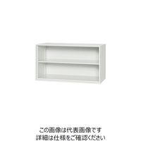ダイシン工業 ダイシン 壁面収納庫 オープン型 上置き専用 ホワイト