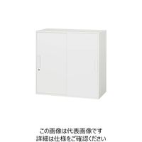 ダイシン工業 DAISHIN 壁面収納庫 引戸型 上下兼用D400 ホワイト V940-09S 1台 856-9713（直送品）