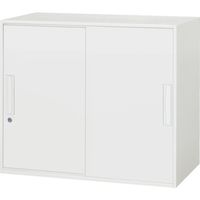 ダイシン工業 DAISHIN 壁面収納庫 引戸型 上下兼用W800 ホワイト V845-07S 1台 856-9634（直送品）