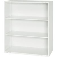 ダイシン工業 ダイシン 壁面収納庫スラードボード専用本体 上置き専用W800 ホワイト