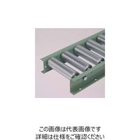 太陽工業 タイヨー E5723型スチールローラーコンベヤW1000XP100X1500L E5723-1000-100-1500 1台（直送品）